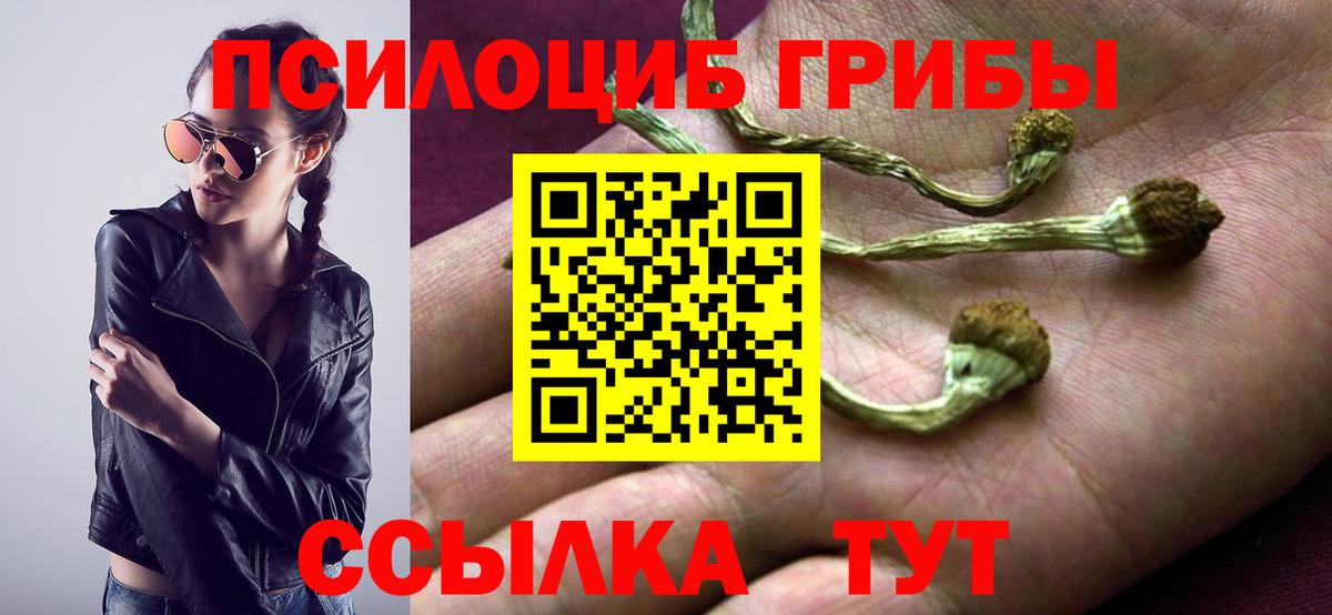 Галлюциногенные грибы мицелий Прохладный