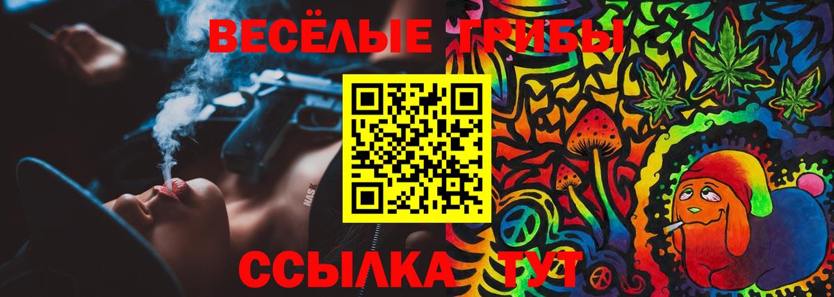 Прохладный  Галлюциногенные грибы мухоморы  Вход с VPN  Псилоцибиновые грибы MAGIC MUSHROOMS 